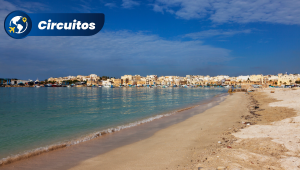 Malta Magn�fica Top Deluxe